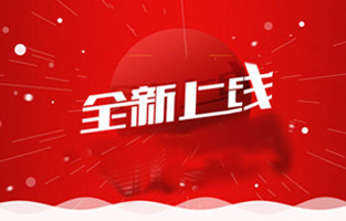 熱烈祝賀雷爾沃電器有限公司網(wǎng)站正式上線！歡迎新老客戶登錄雷爾沃電器站點http://www.leirvo.com/查看，我們將時時為你推出高壓電器產(chǎn)品相關(guān)資訊，也希望你們多提寶貴意見，讓我們共同進步，邁向新未來！ 