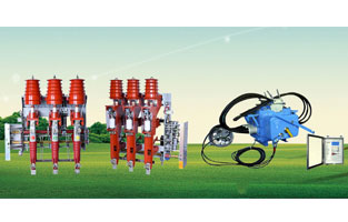 高壓負荷開關(guān)組合柜是電氣廠家常用的開關(guān)設(shè)備，那高壓負荷開關(guān)組合柜的正確操作方式是怎樣的？下面雷爾沃電器小編就給你整理一下答案。